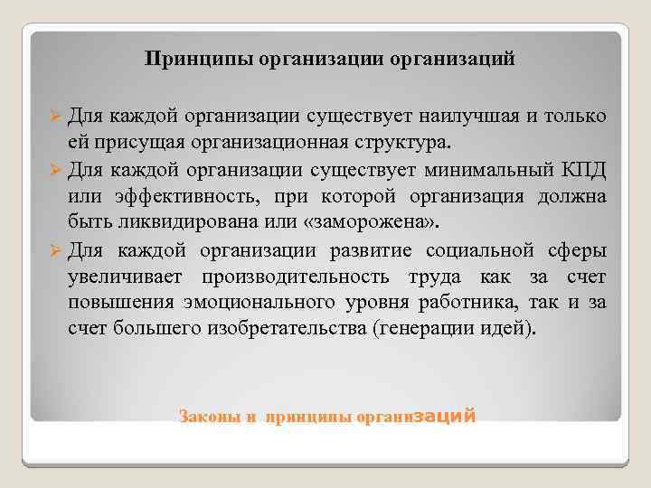 Принципы организации организаций Ø Для каждой организации существует наилучшая и только ей присущая организационная