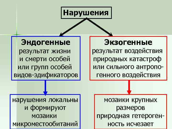 Мозаичное строение сообщества обусловлено