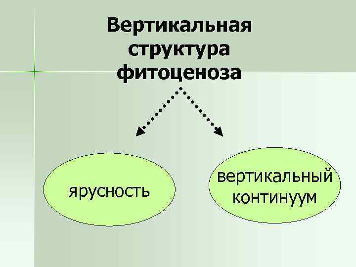 Заполните схему фитоценоз