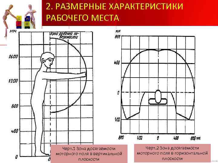 Рабочие параметры. Зона досягаемости моторного поля. Зоны досягаемости моторного поля тела человека.. Зона досягаемости моторного поля в горизонтальной плоскости. Зона досягаемости моторного поля в вертикальной плоскости.