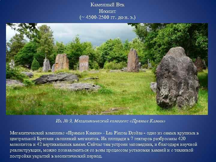 Каменный Век Неолит (~ 4500 -2500 гг. до н. э. ) Ил. № 9,