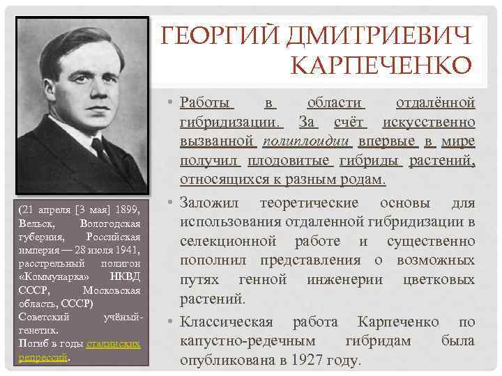 Вклад н и вавилова в развитие селекции презентация