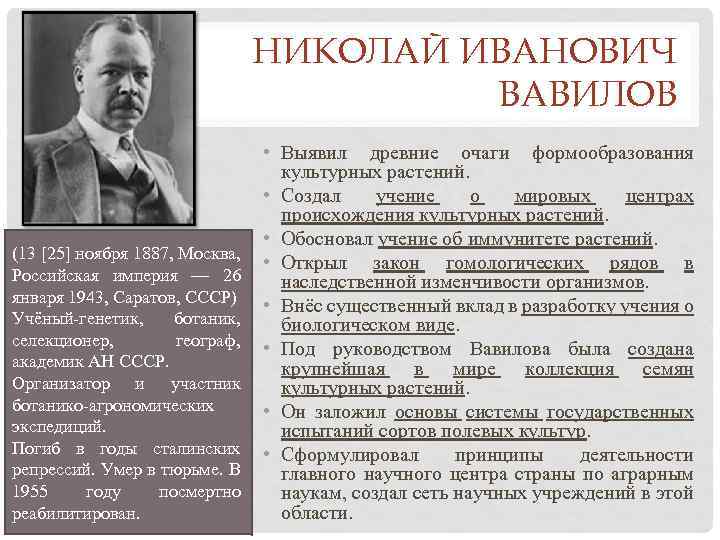НИКОЛАЙ ИВАНОВИЧ ВАВИЛОВ (13 [25] ноября 1887, Москва, Российская империя — 26 января 1943,
