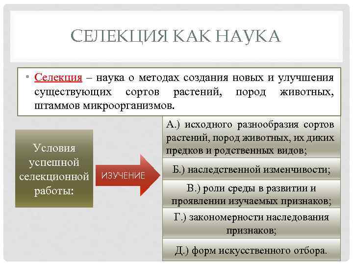 Селекция основные методы и достижения презентация 10 класс