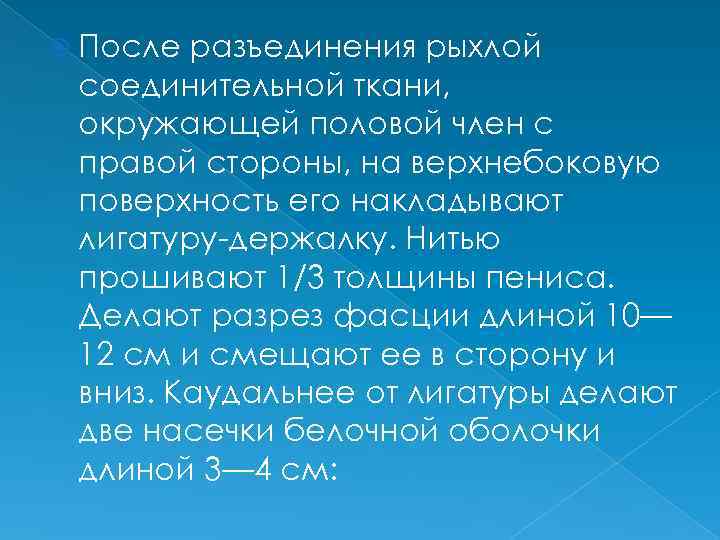  После разъединения рыхлой соединительной ткани, окружающей половой член с правой стороны, на верхнебоковую