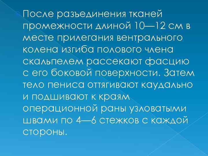  После разъединения тканей промежности длиной 10— 12 см в месте прилегания вентрального колена