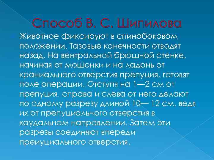 Способ В. С. Шипилова Животное фиксируют в спинобоковом положении. Тазовые конечности отводят назад. На