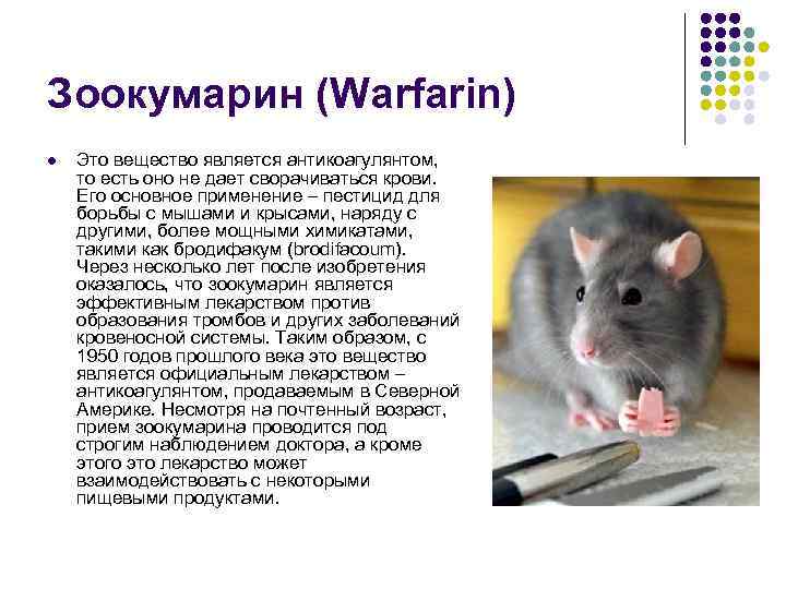 Зоокумарин (Warfarin) l Это вещество является антикоагулянтом, то есть оно не дает сворачиваться крови.