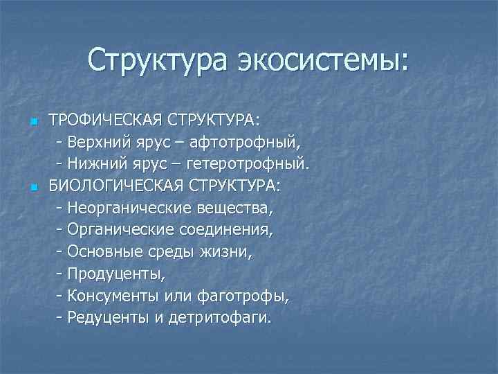 Структура экосистемы: n n ТРОФИЧЕСКАЯ СТРУКТУРА: - Верхний ярус – афтотрофный, - Нижний ярус