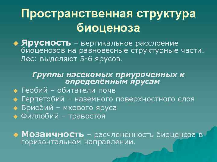 Пространственная структура биоценоза u Ярусность – вертикальное расслоение биоценозов на равновесные структурные части. Лес: