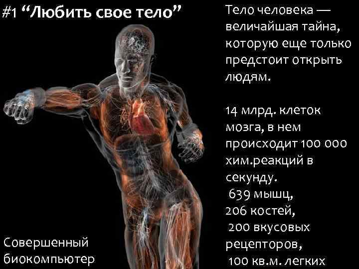 #1 “Любить свое тело” Совершенный биокомпьютер Тело человека — величайшая тайна, которую еще только