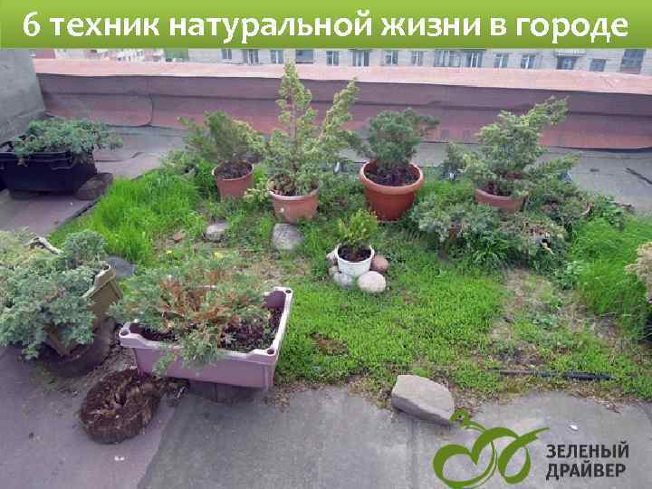6 техник натуральной жизни в городе 