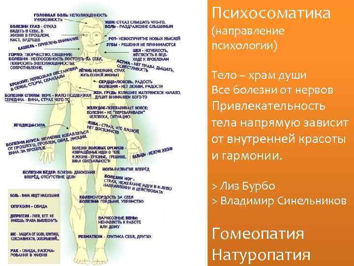 Психосоматика (направление психологии) Тело – храм души Все болезни от нервов Привлекательность тела напрямую