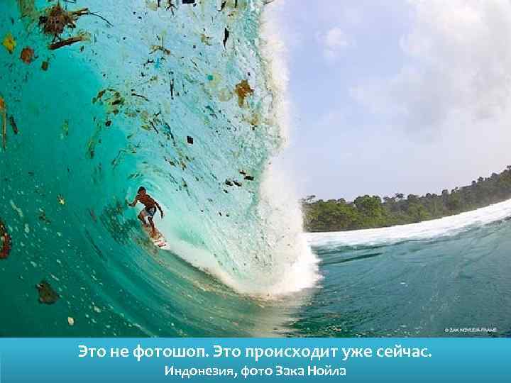 Это не фотошоп. Это происходит уже сейчас. Индонезия, фото Зака Нойла 