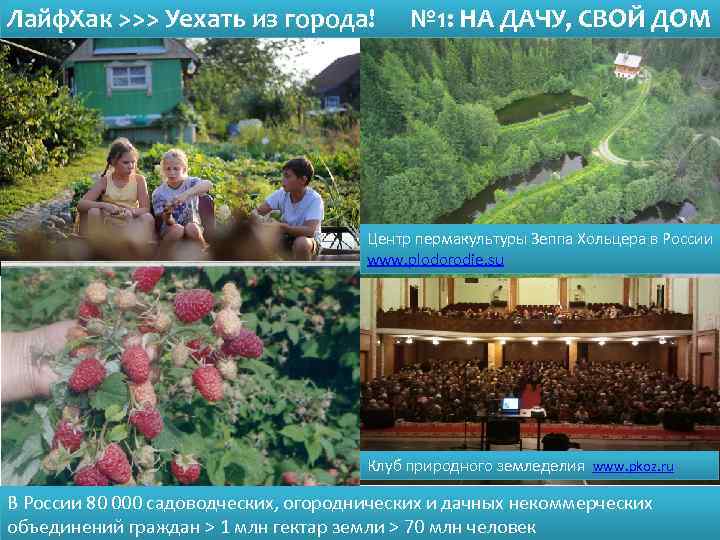 Лайф. Хак >>> Уехать из города! № 1: НА ДАЧУ, СВОЙ ДОМ Центр пермакультуры