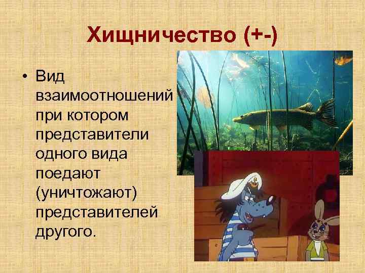 Хищничество (+-) • Вид взаимоотношений при котором представители одного вида поедают (уничтожают) представителей другого.