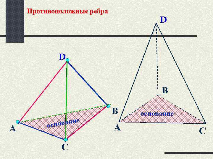 Противоположные ребра D D В В А ие снован о С А основание С