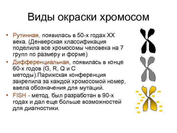 Виды окраски хромосом • Рутинная, появилась в 50 -х годах ХХ века. (Денверская классификация