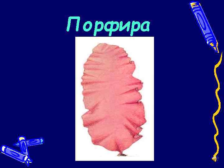 Порфира 