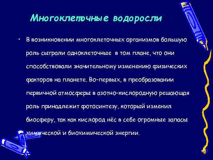 Многоклеточные водоросли • В возникновении многоклеточных организмов большую роль сыграли одноклеточные в том плане,