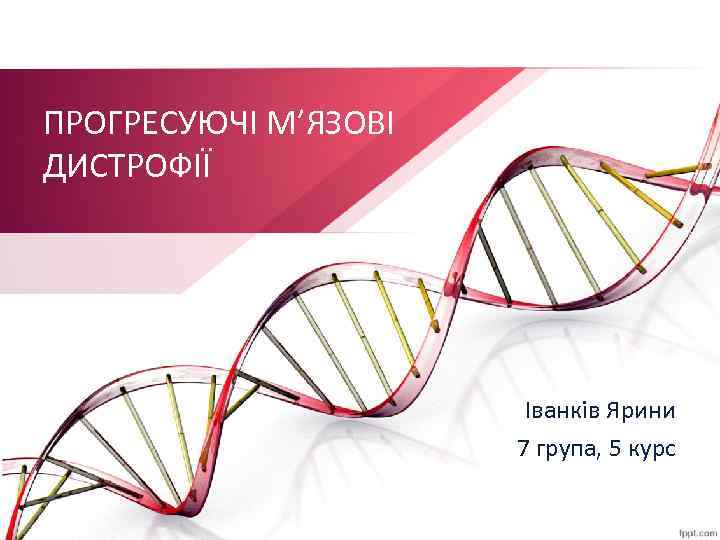 ПРОГРЕСУЮЧІ М’ЯЗОВІ ДИСТРОФІЇ Іванків Ярини 7 група, 5 курс 