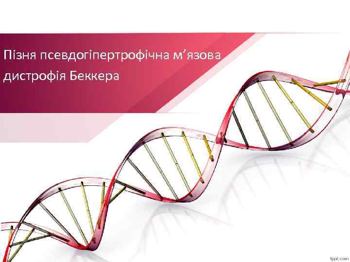 Пізня псевдогіпертрофічна м’язова дистрофія Беккера 