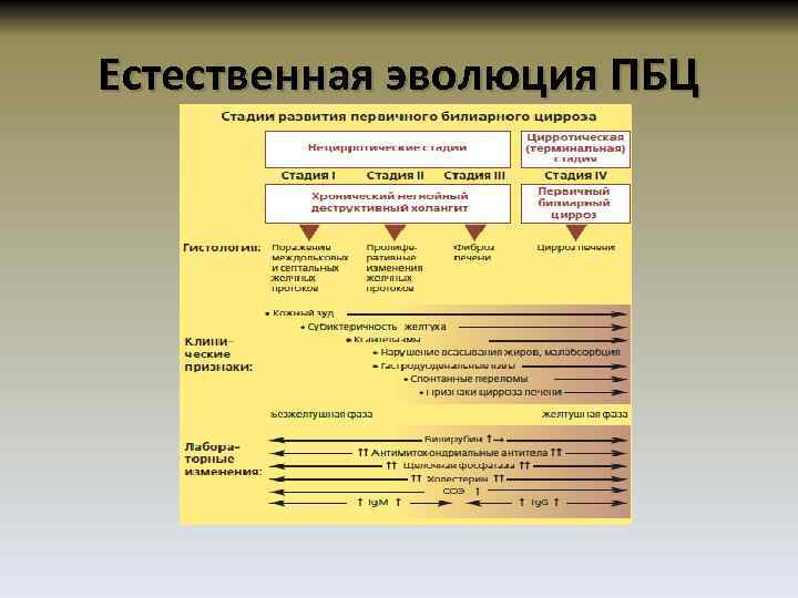 Естественная эволюция ПБЦ 