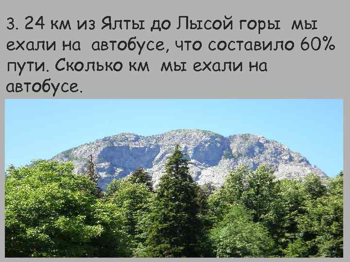 3. 24 км из Ялты до Лысой горы мы ехали на автобусе, что составило