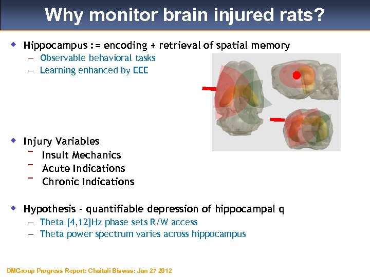 Why monitor brain injured rats? w Hippocampus : = encoding + retrieval of spatial