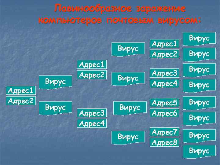 Лавинообразное заражение компьютеров почтовым вирусом: Вирус Адрес1 Адрес2 Адрес3 Адрес4 Адрес1 Адрес2 Вирус Адрес3