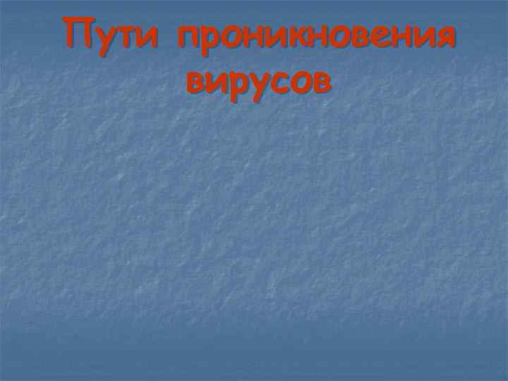 Пути проникновения вирусов 