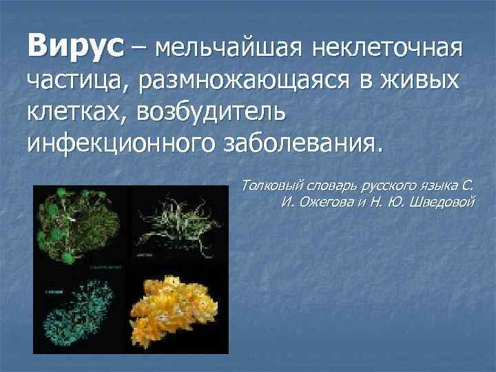 Вирус – мельчайшая неклеточная частица, размножающаяся в живых клетках, возбудитель инфекционного заболевания. Толковый словарь