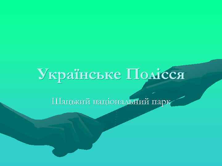 Українське Полісся Шацький національний парк 