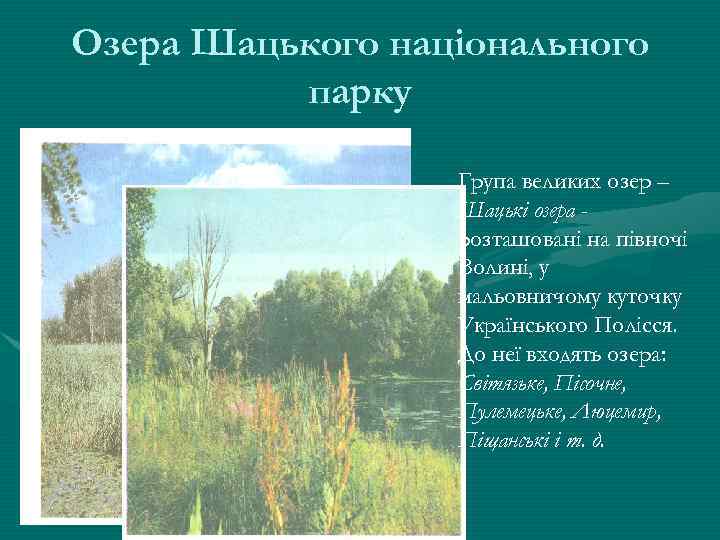 Озера Шацького національного парку Група великих озер – Шацькі озера розташовані на півночі Волині,