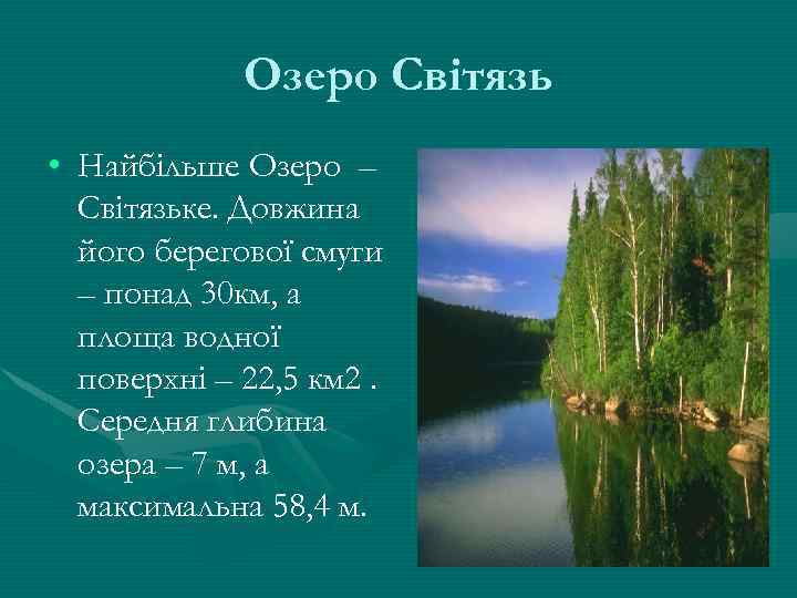 Озеро Світязь • Найбільше Озеро – Світязьке. Довжина його берегової смуги – понад 30