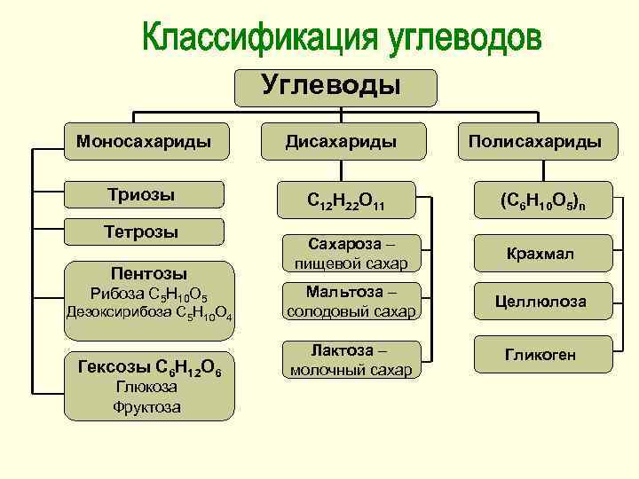 Углеводы Моносахариды Дисахариды Триозы С 12 Н 22 О 11 Тетрозы Полисахариды (С 6