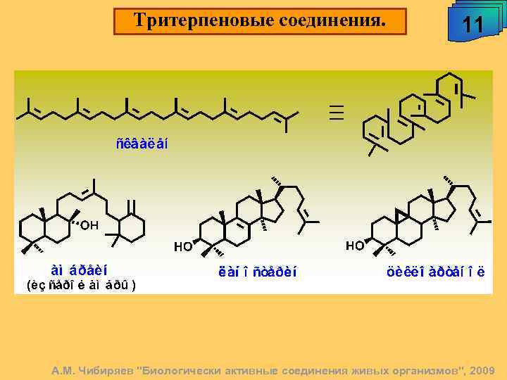 Тритерпеновые соединения. 11 А. М. Чибиряев 