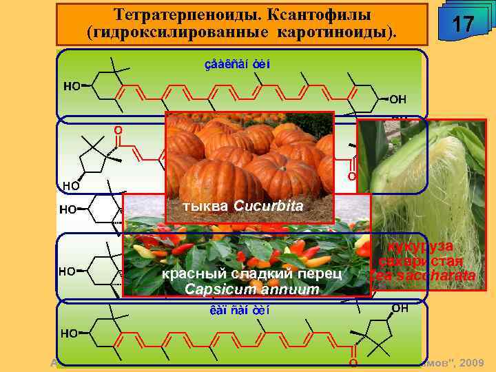 Тетратерпеноиды. Ксантофилы (гидроксилированные каротиноиды). 17 тыква Cucurbita красный сладкий перец Capsicum annuum кyкуруза сахаристая