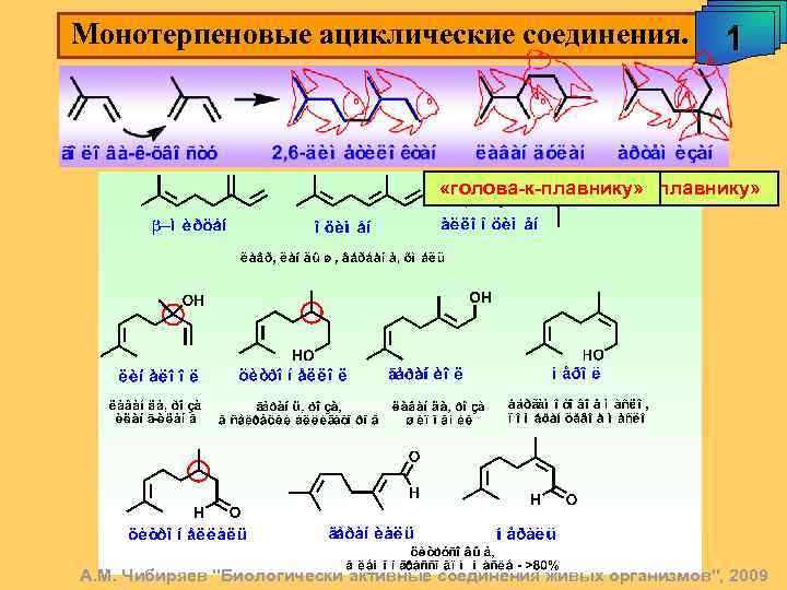 Монотерпеновые ациклические соединения. 1 «голова-к-плавнику» А. М. Чибиряев 
