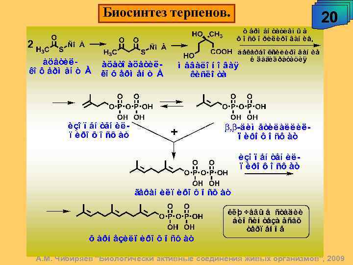 Биосинтез терпенов. 20 А. М. Чибиряев 