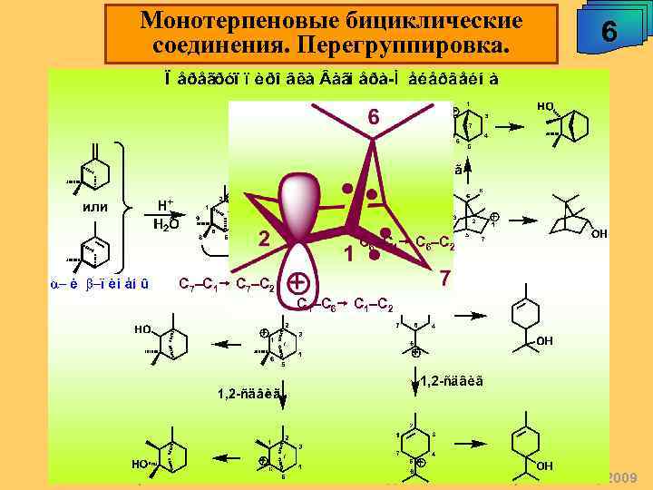 Монотерпеновые бициклические соединения. Перегруппировка. 6 С 6–С 1 С 6–С 2 С 7–С 1
