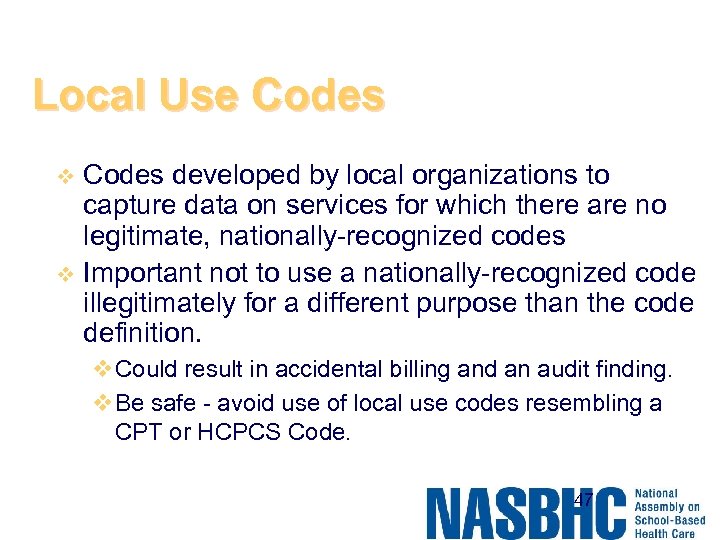 Local Use Codes developed by local organizations to capture data on services for which