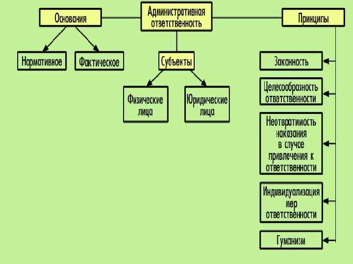 Административная ответственность • вид юридической ответственности, который выражается в применении уполномоченными государственными органами или