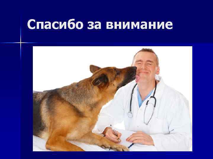 Спасибо за внимание 