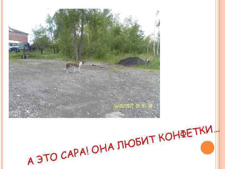 А ЭТО ! ОНА САРА БИТ К ЛЮ ТКИ… ОНФЕ 