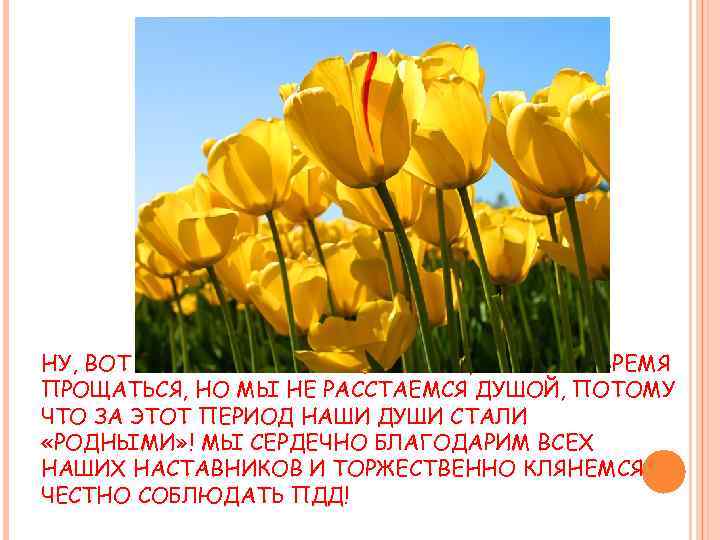 НУ, ВОТ И ПРОШЛО 3 МЕСЯЦА УЧЁБЫ, НАСТАЛО ВРЕМЯ ПРОЩАТЬСЯ, НО МЫ НЕ РАССТАЕМСЯ