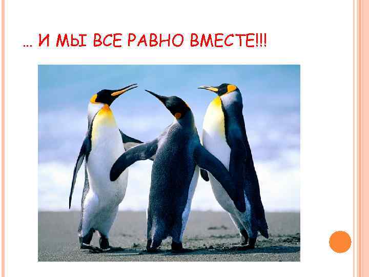 … И МЫ ВСЕ РАВНО ВМЕСТЕ!!! 