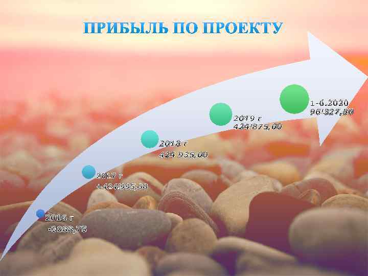 2019 г 424 875, 00 2018 г 424 935, 00 2017 г +424 995,