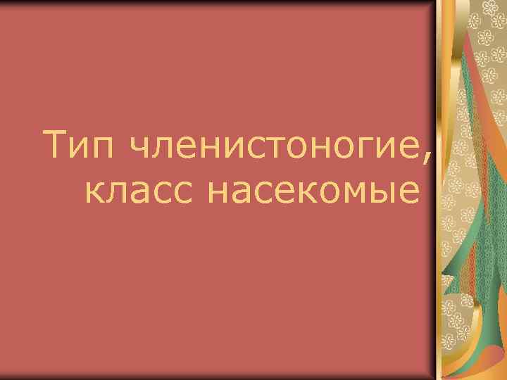 Тип членистоногие, класс насекомые 