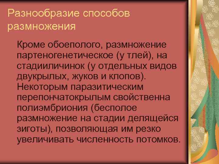 Разнообразие способов размножения Кроме обоеполого, размножение партеногенетическое (у тлей), на стадииличинок (у отдельных видов